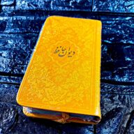 حافظ پالتویی رنگی چرمی