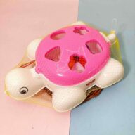 لاک پشت اشکال