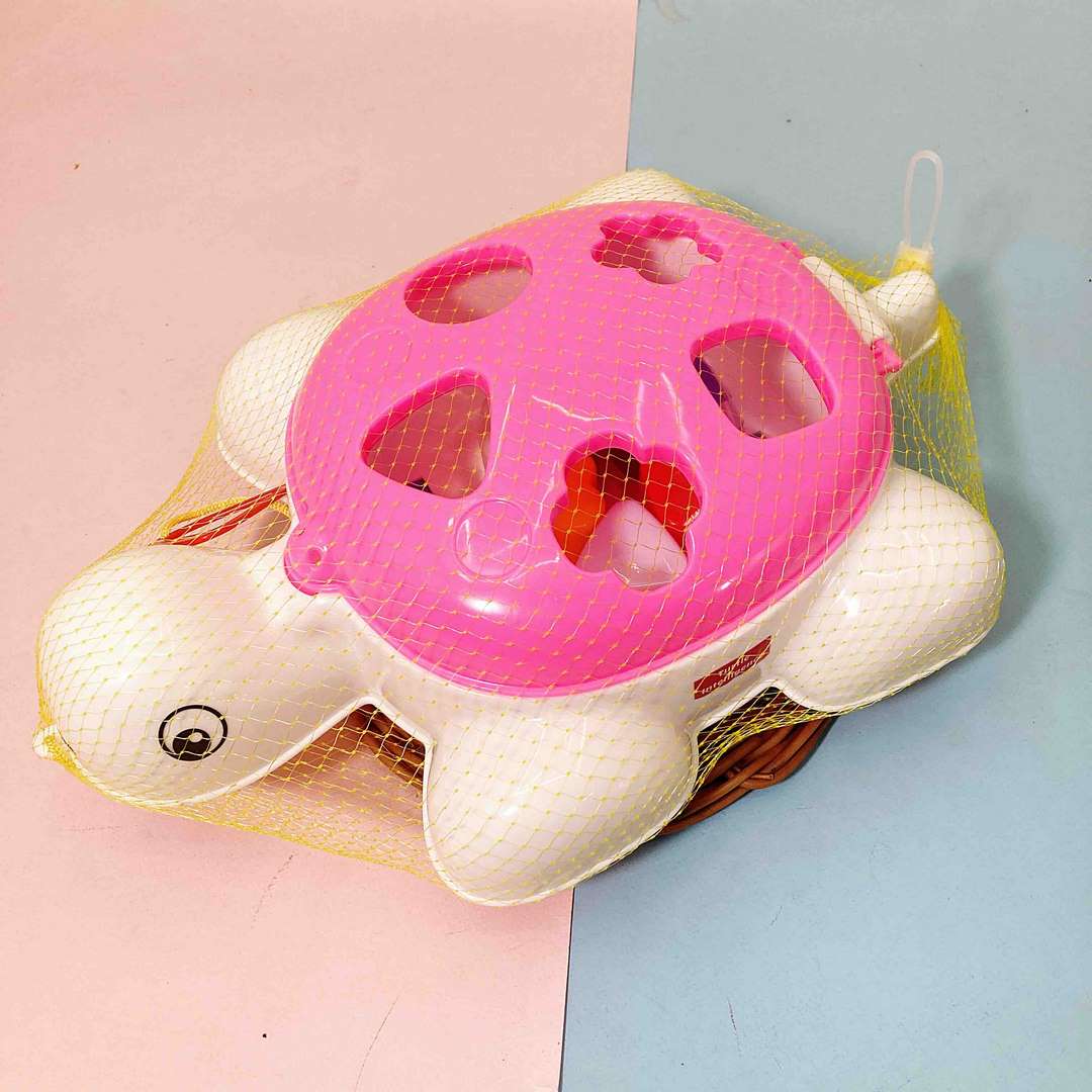 لاک پشت اشکال